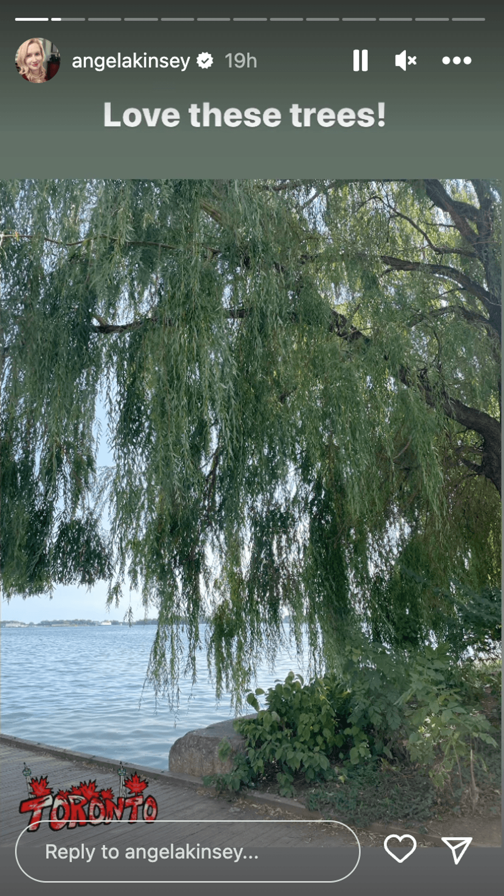 A photo from Toronto's waterfront shared by Angela Kinsey.