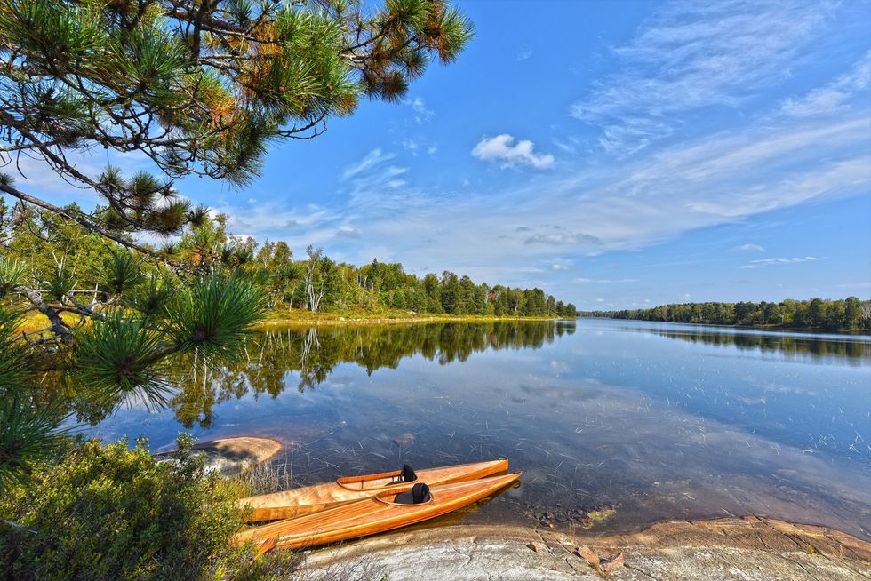 Kivi Park