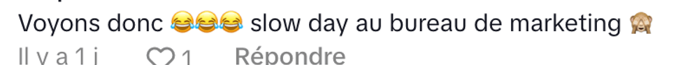 Un commentaire sous le TikTok de aquamarianne sur le Maxi.