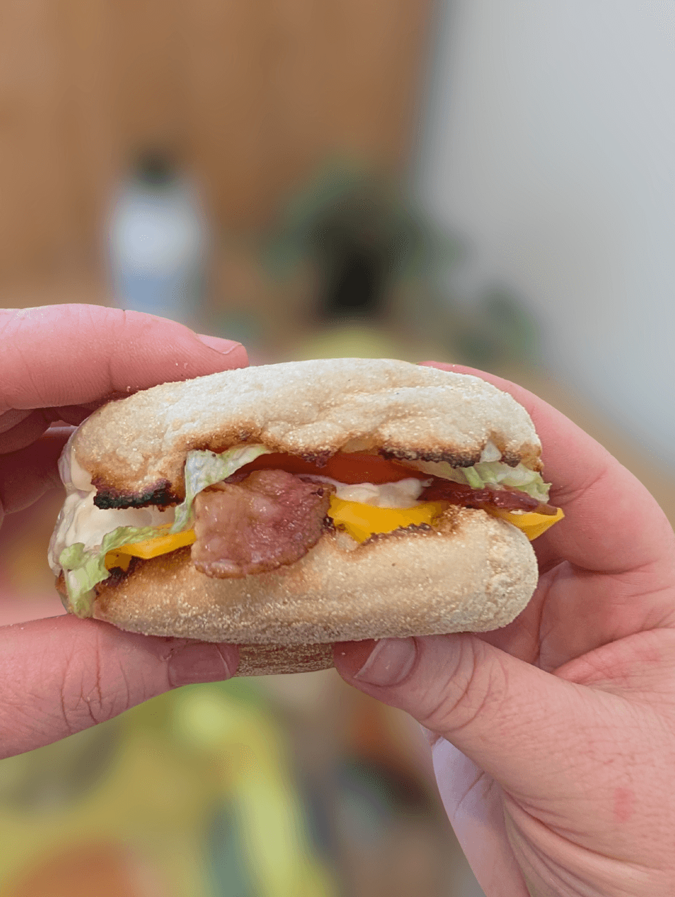 Two hands holding a McDonald's Egg BLT McMuffin.