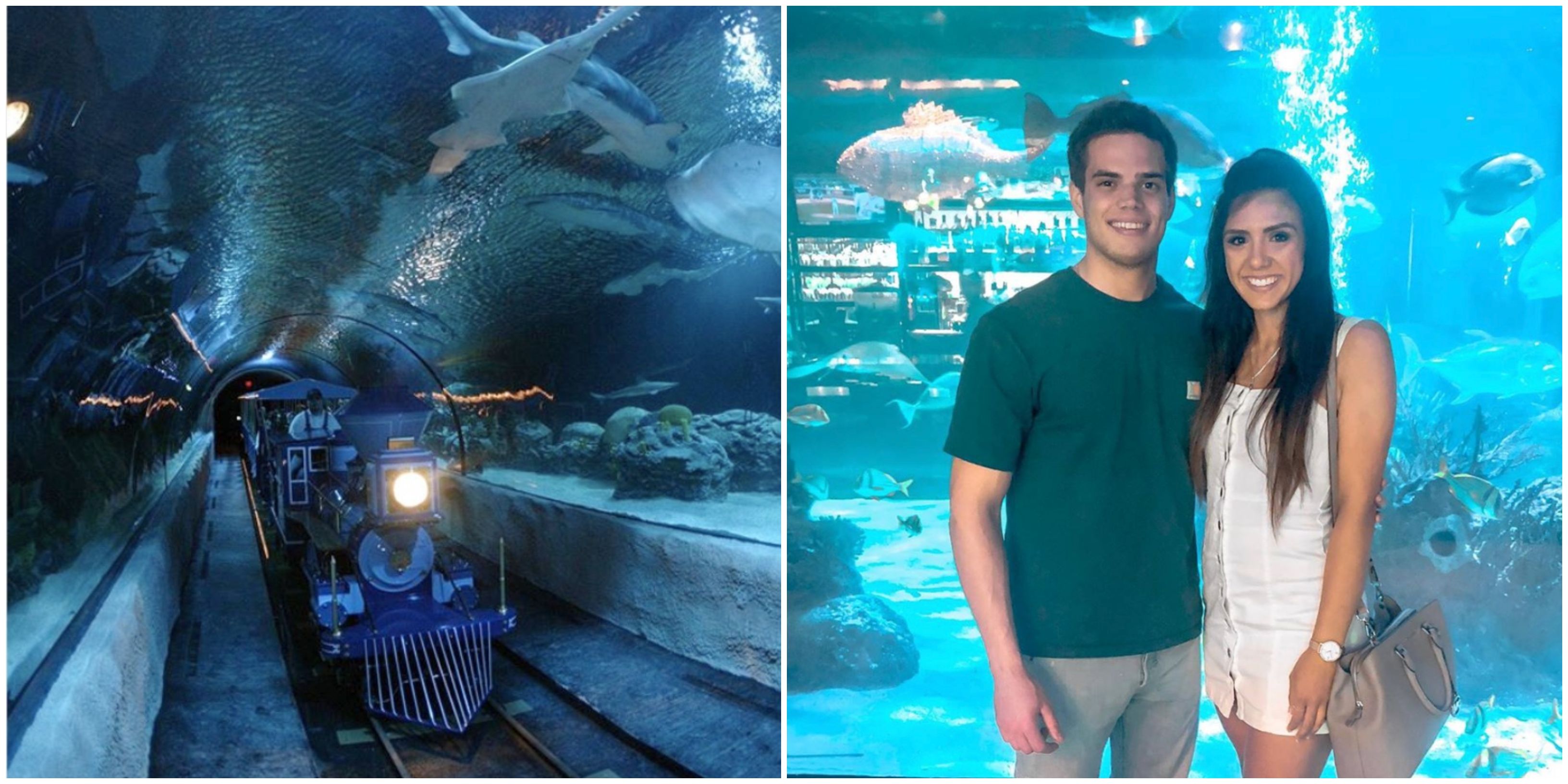 Houston's Downtown Aquarium Has An Underwater Train Ride In A Shark Tank