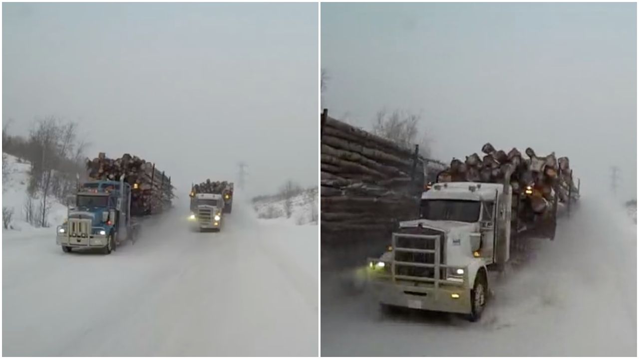 According to the licensor, Viral Hog: "A loaded log haul truck came over the top of the hill too fast and swerved to avoid hitting a slower moving loaded truck. The truck came into my lane, forcing me to take evasive action by moving to my right shoulder. Luckily the road was wide enough to avoid going into the ditch or resulting in a collision."