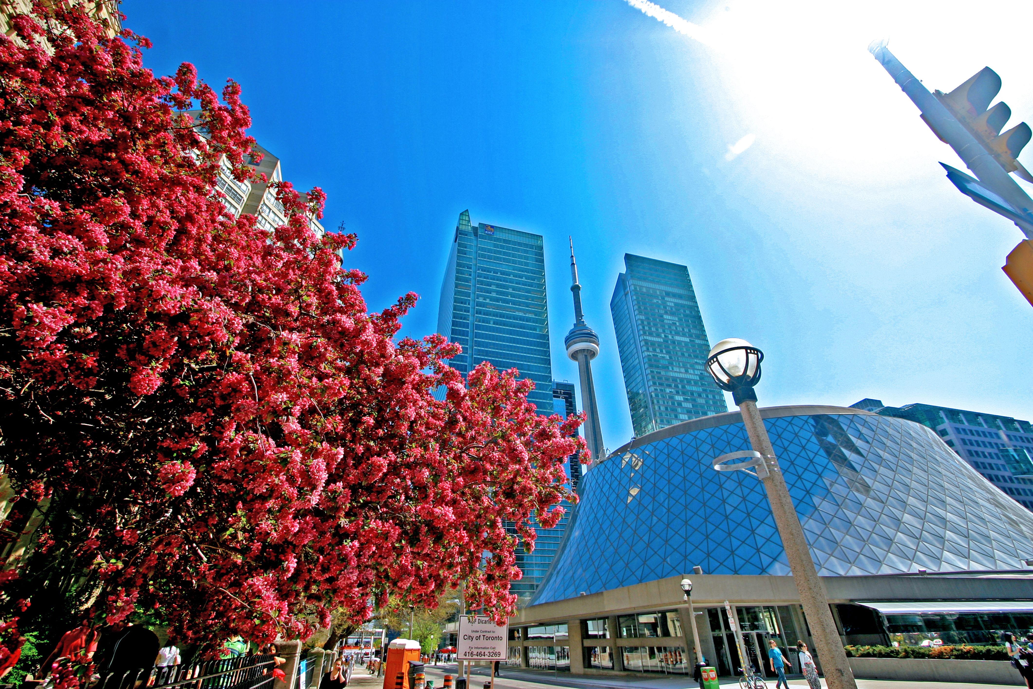 The First Day Of Spring 2020 Is On March 19 For The First Time In 124 Years (VIDEO)
