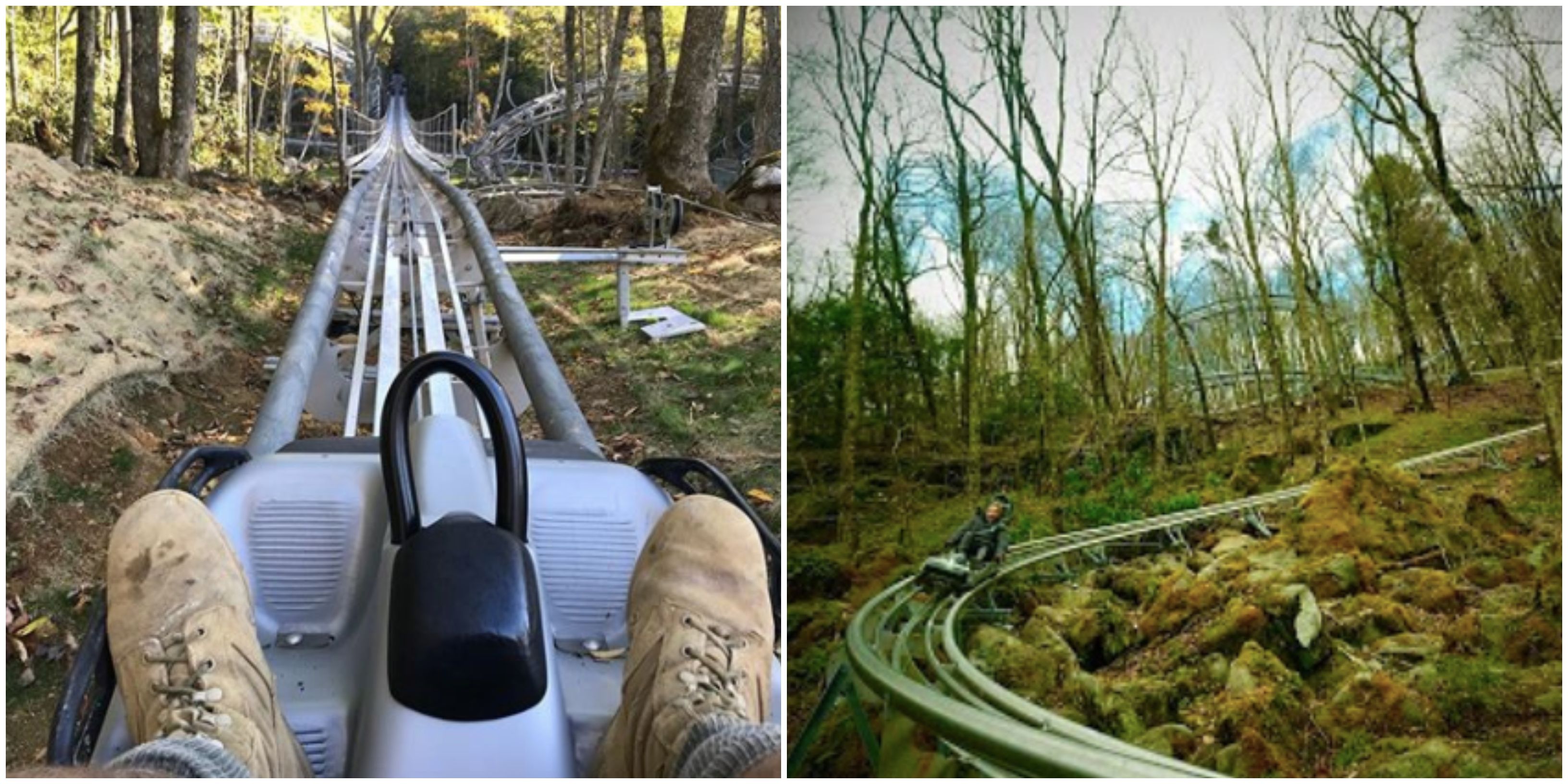 Mountain Coaster In North Carolina Wilderness Run Alpine Coaster Is Finally Open