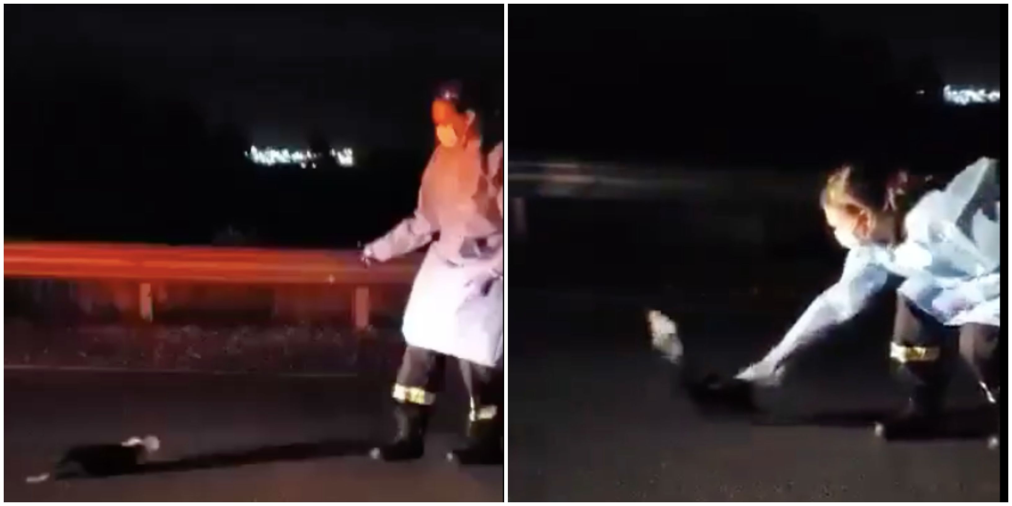Skunk Rescue Near Toronto Saw Two Paramedics Save Animal From A Tim Hortons Cup
