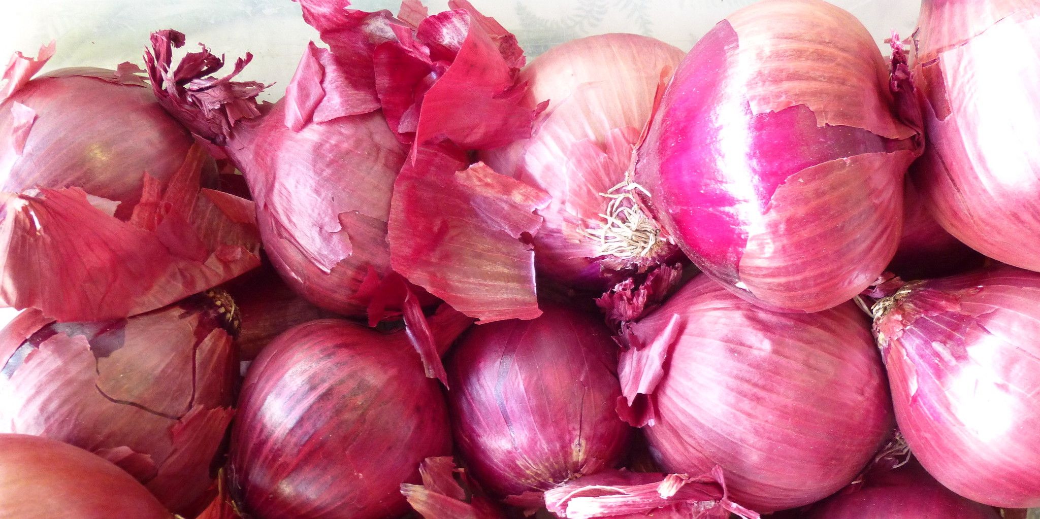 Canadians Are Being Told To Stop Eating Red Onions From The U.S. Due To Salmonella (VIDEO)
