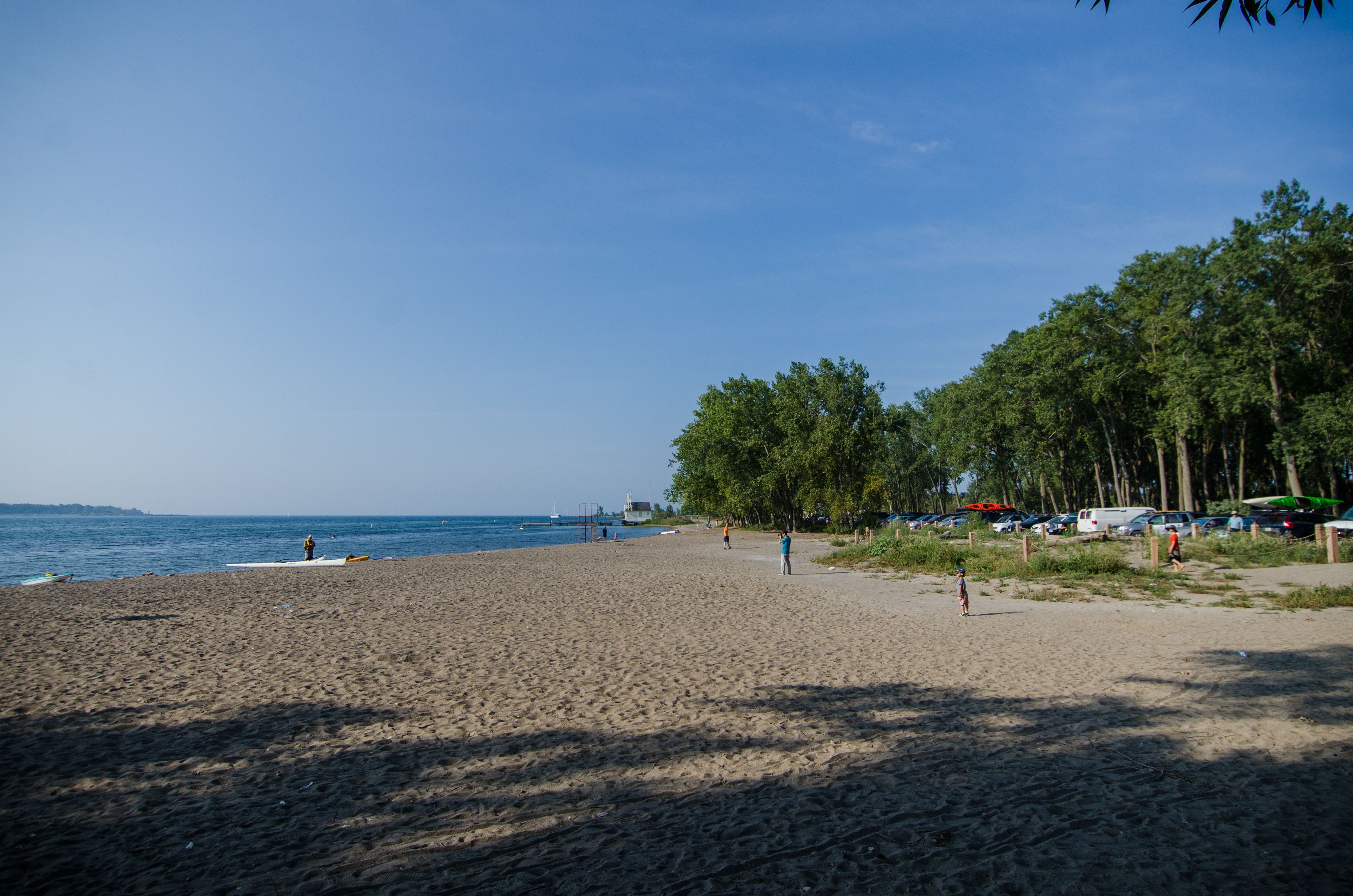 Toronto Chainsaw Fight At Cherry Beach Reportedly Broke Out  On Sunday (VIDEO)