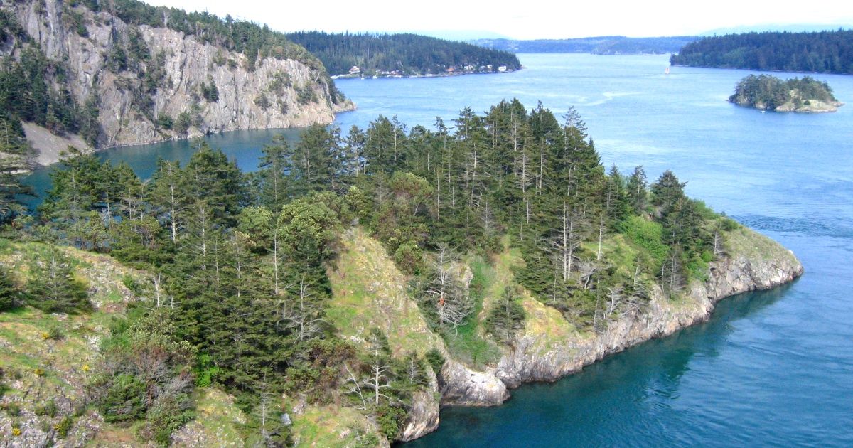 Missing Dog In BC Was Found By Surfers After Being Lost For 3 Months 
