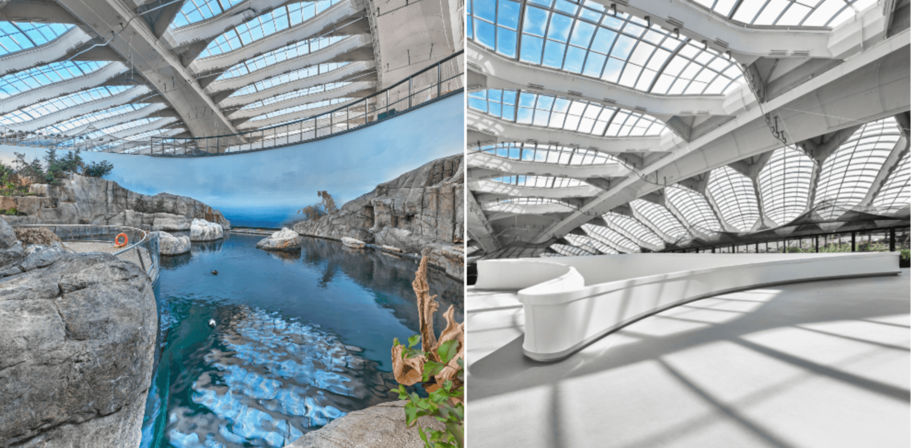 Voici à quoi ressemble maintenant le Biodôme de Montréal après les rénovations (VIDÉO)