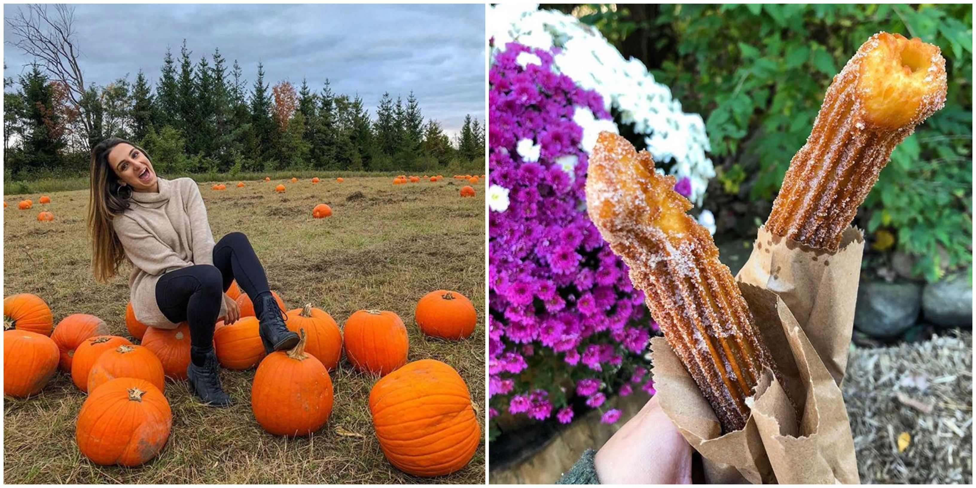 Log Cabin Orchard Near Ottawa Has Giant Apple Cinnamon Churros & Perfect Pumpkins