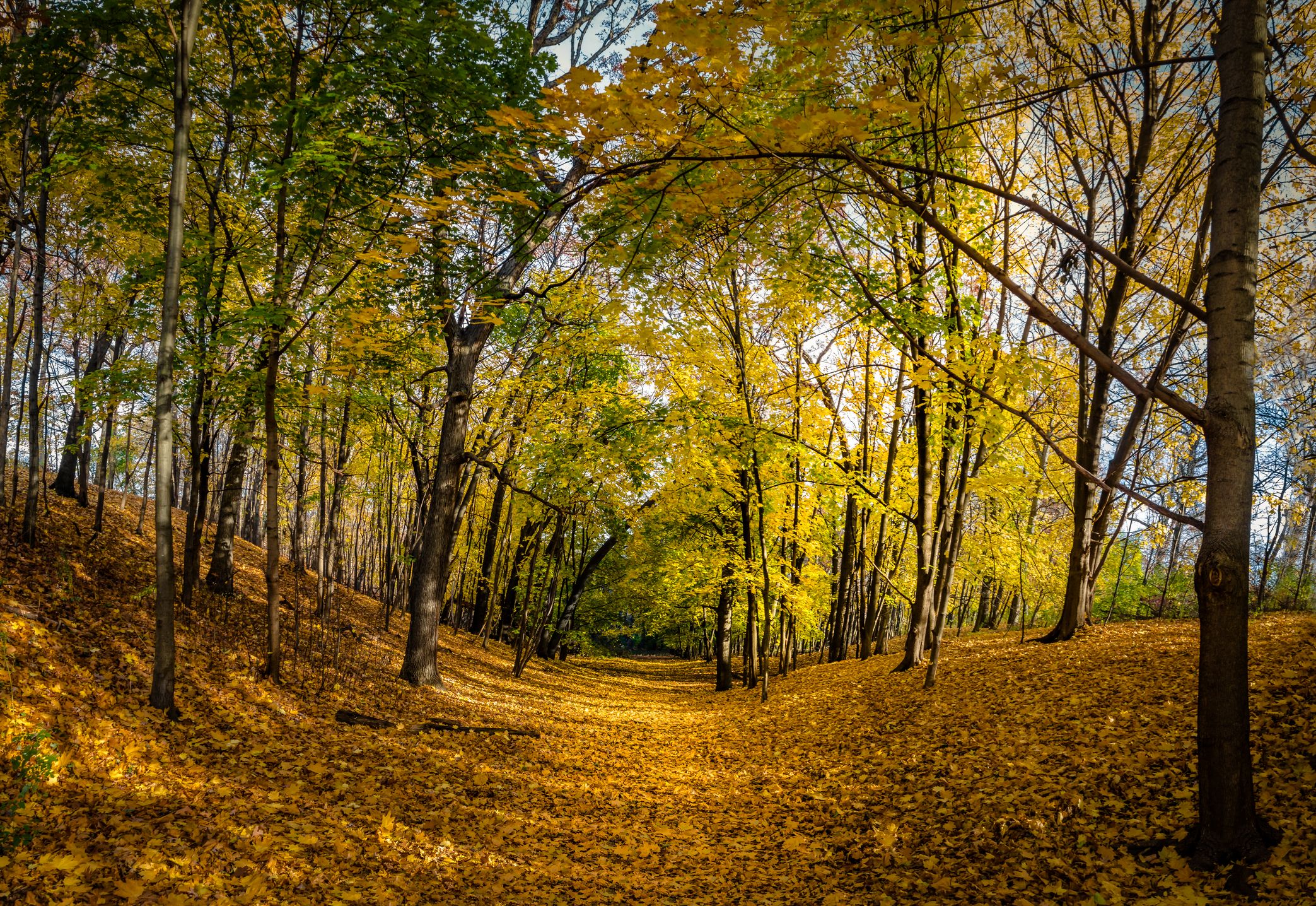 Ontario's Fall Forecast For 2020 Just Came Out & It's Going To Be Warm Until November
