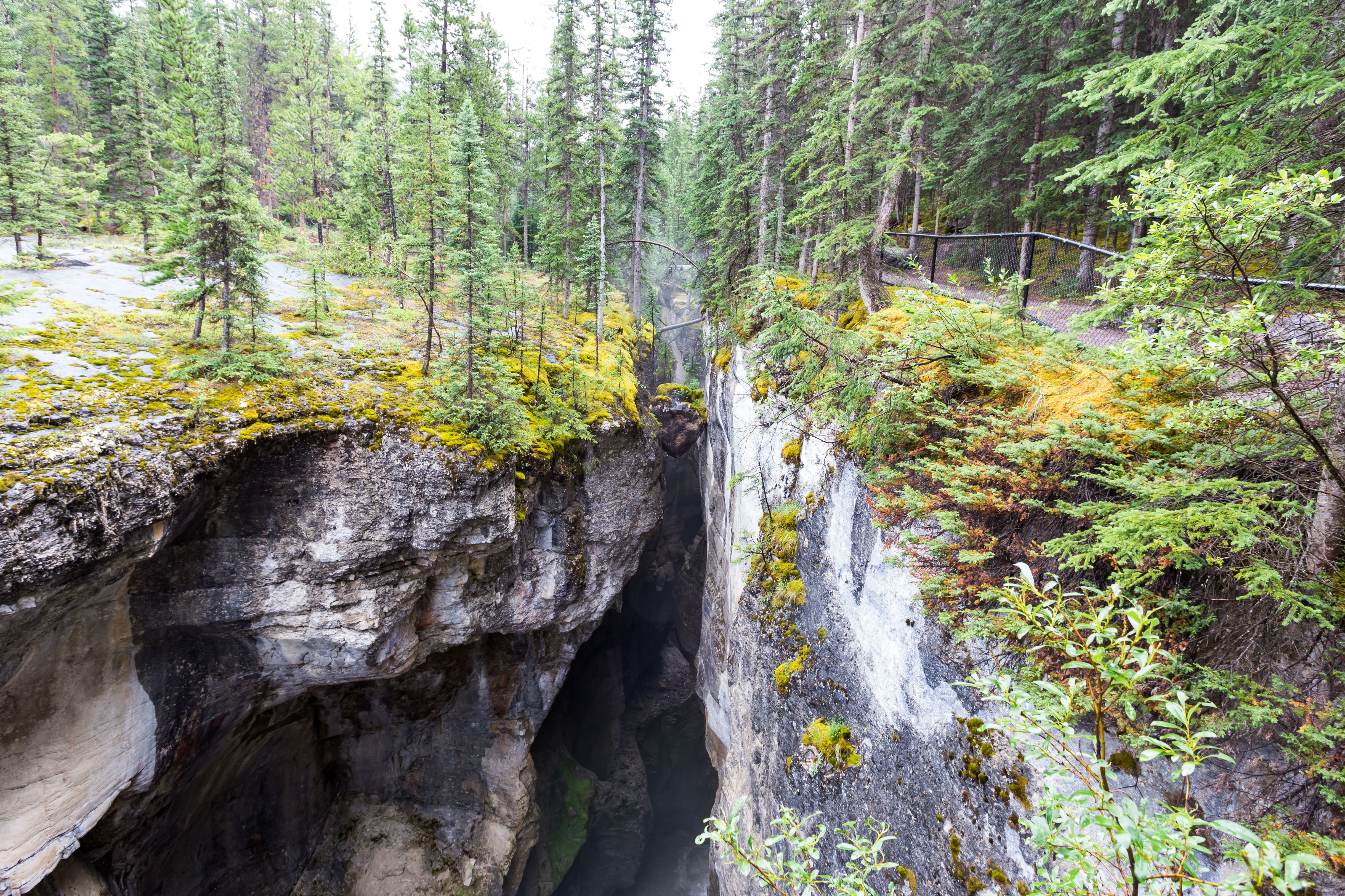 Jasper Canyon Accident: An 11-Year-Old Girl Has Died After Falling From A Bridge