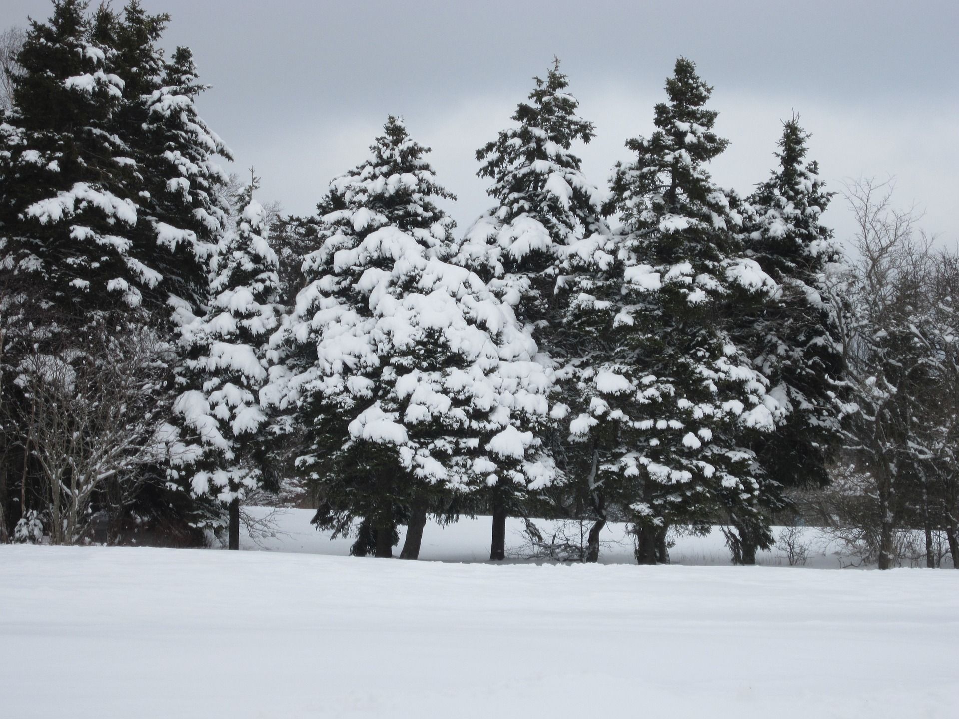 Blizzard In Canada That's Hitting This Province Is The First One Of Fall