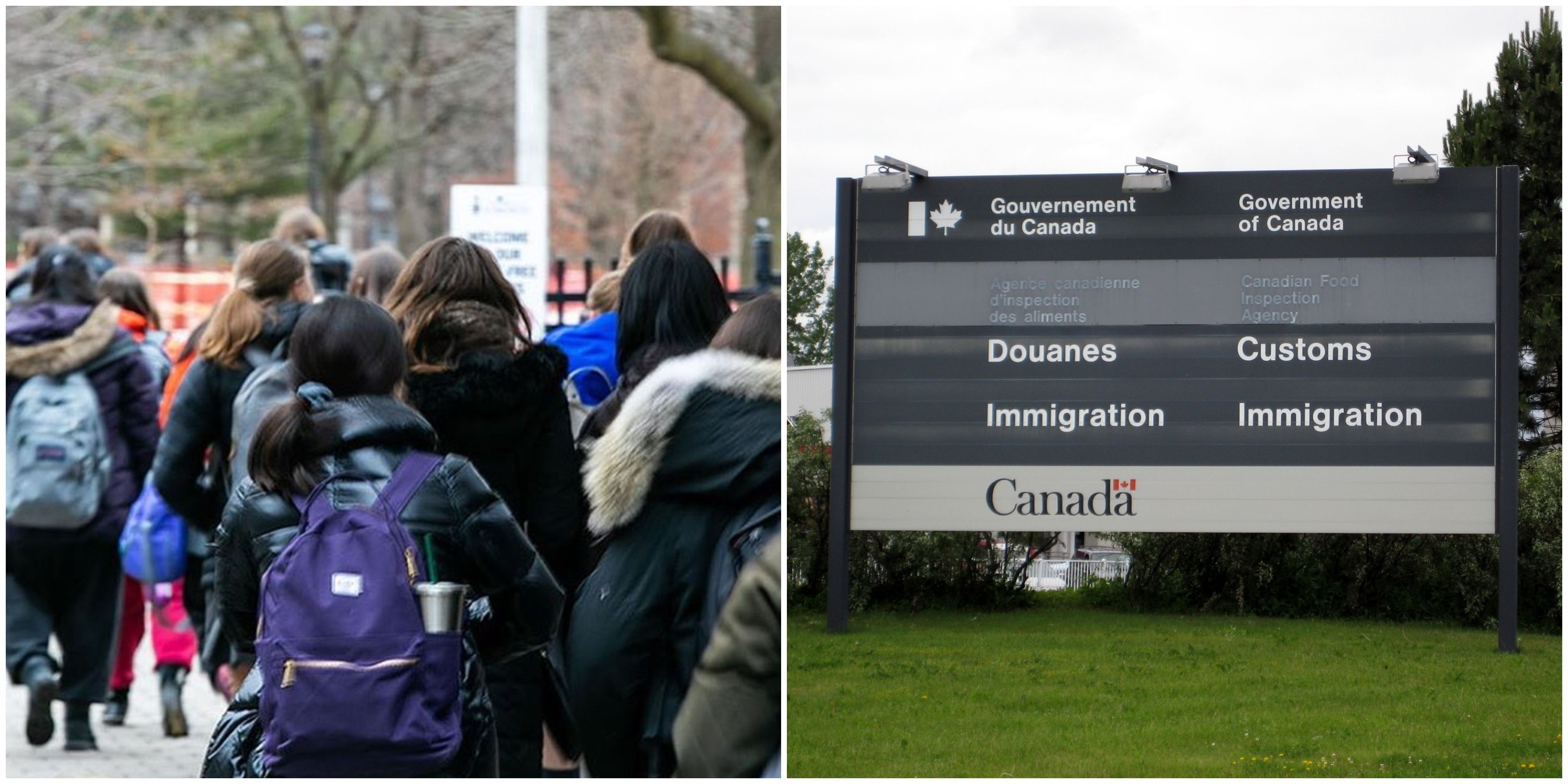International Students: Canada Is Letting Them Come Back Again But There Are Requirements