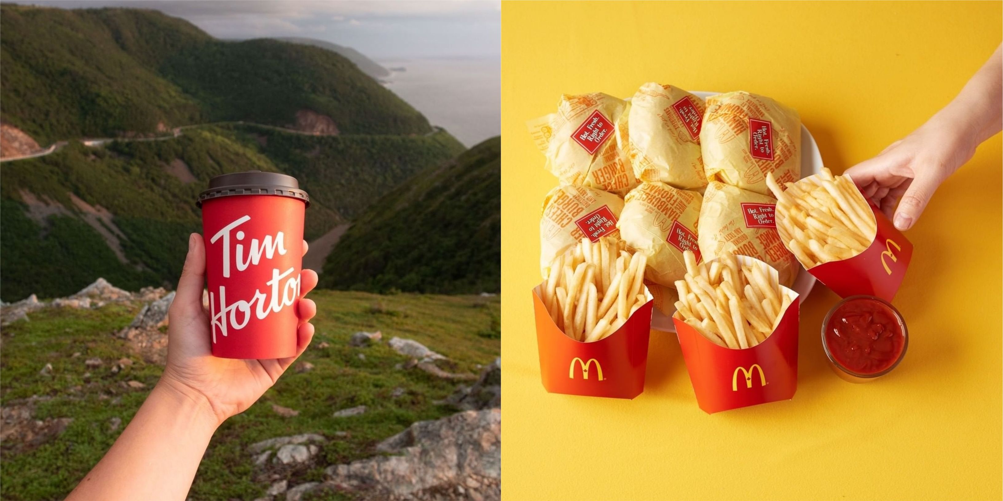 Worst Companies For The Environment Include Tim Hortons