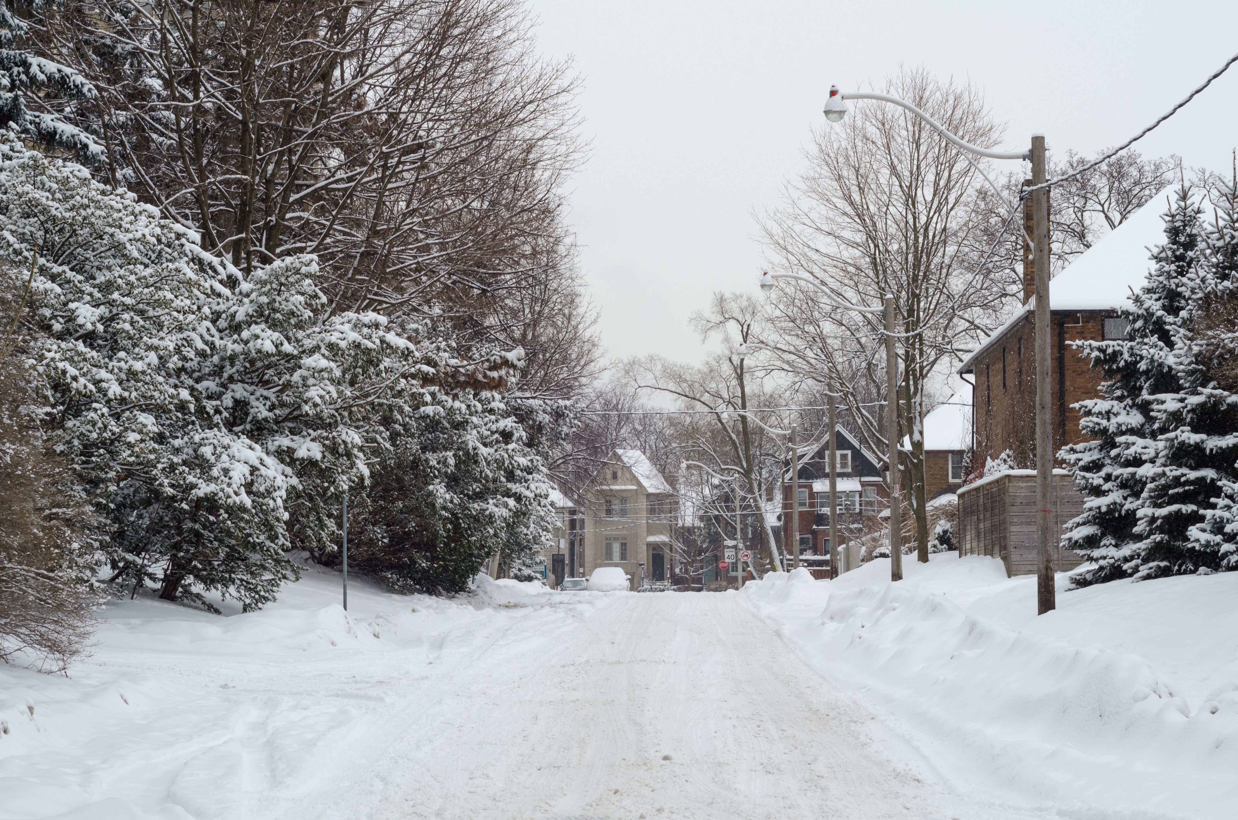 Ontario's Weather Forecast Is Bringing 20 cm Of Snow & Chaotic Driving Conditions 