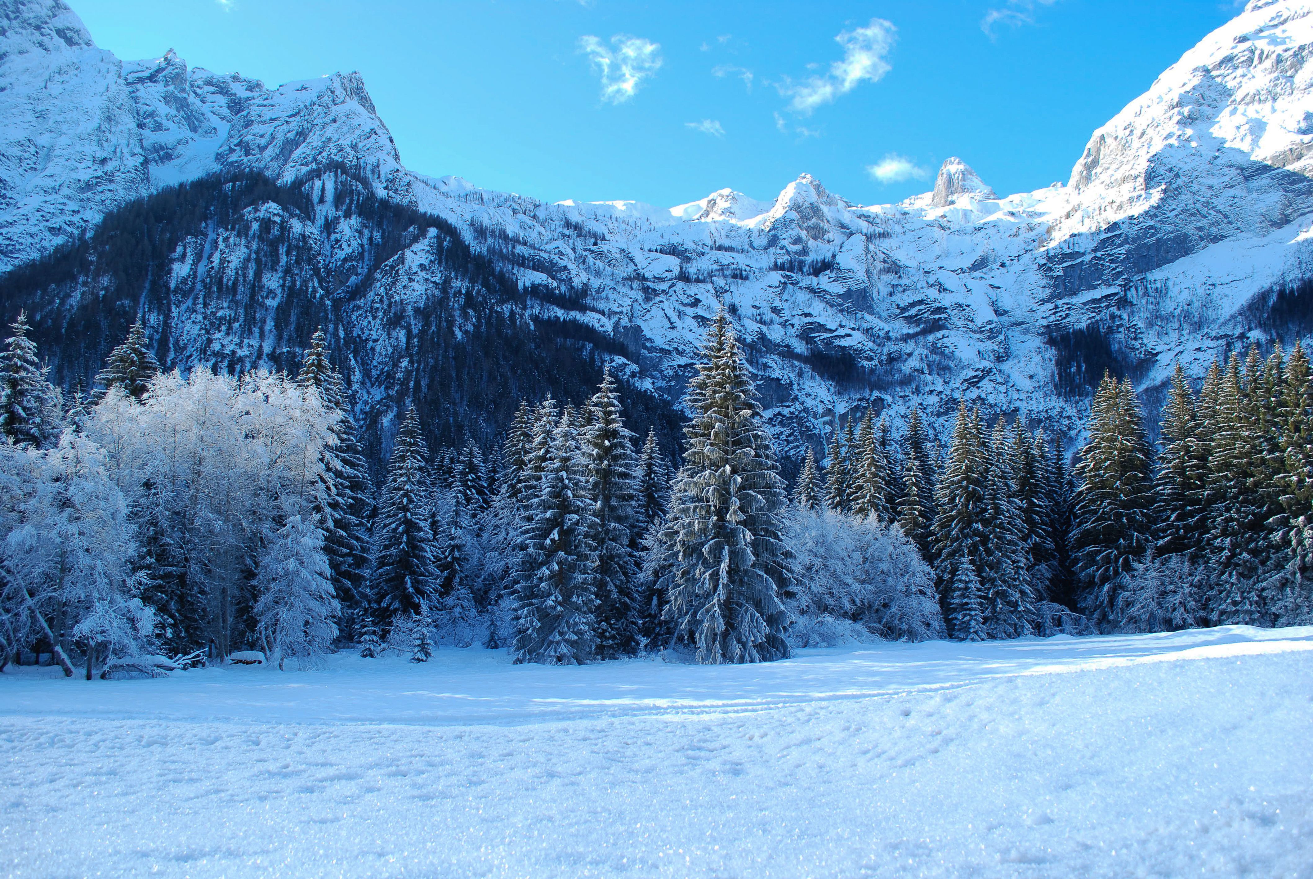 A 'Hazardous' Winter Storm Is About To Burry Alberta In Up To 50 cm Of Snow