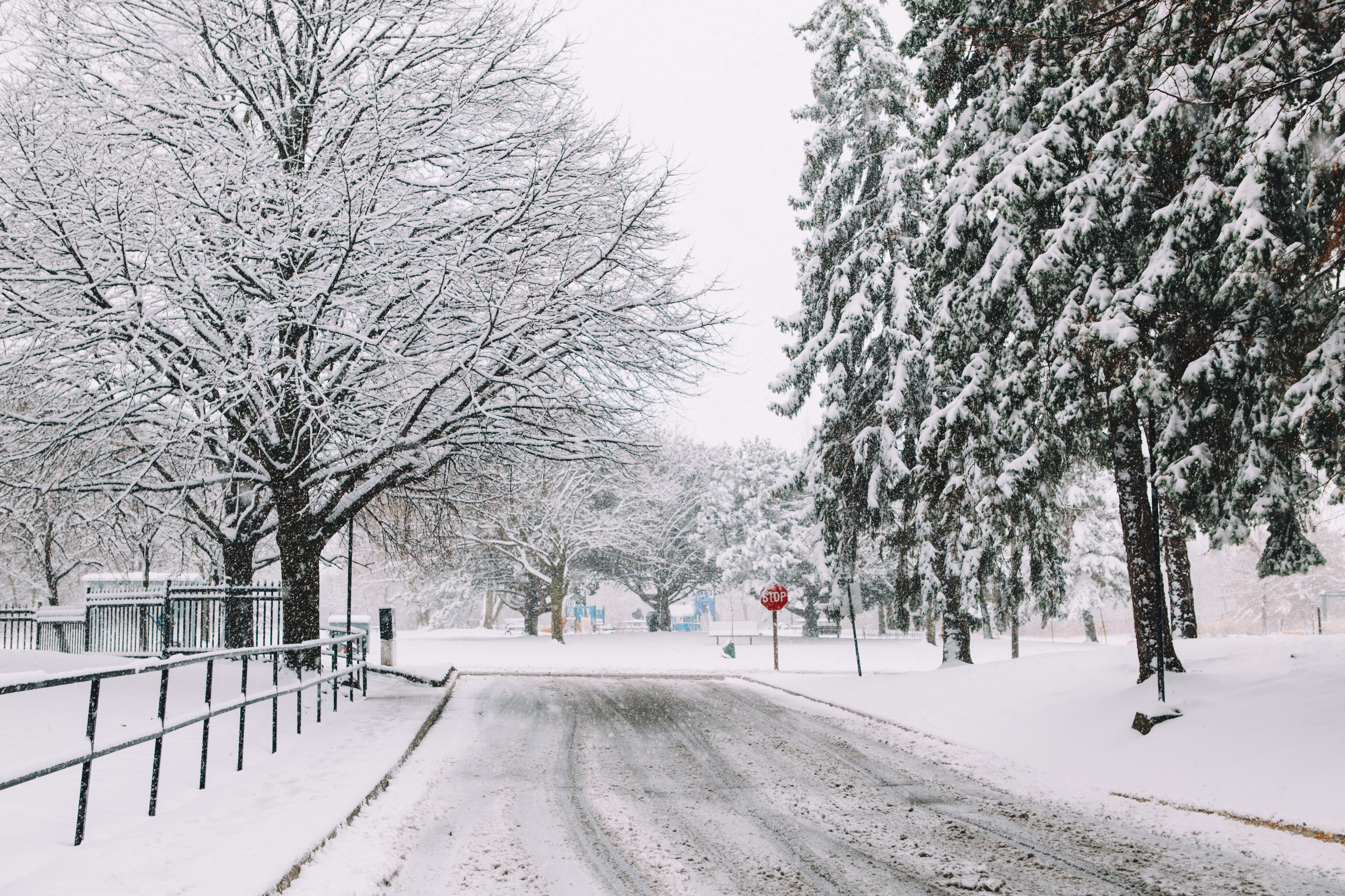 Ontario New Year's Forecast Is Going To Be A Snowy & Icy Mess 