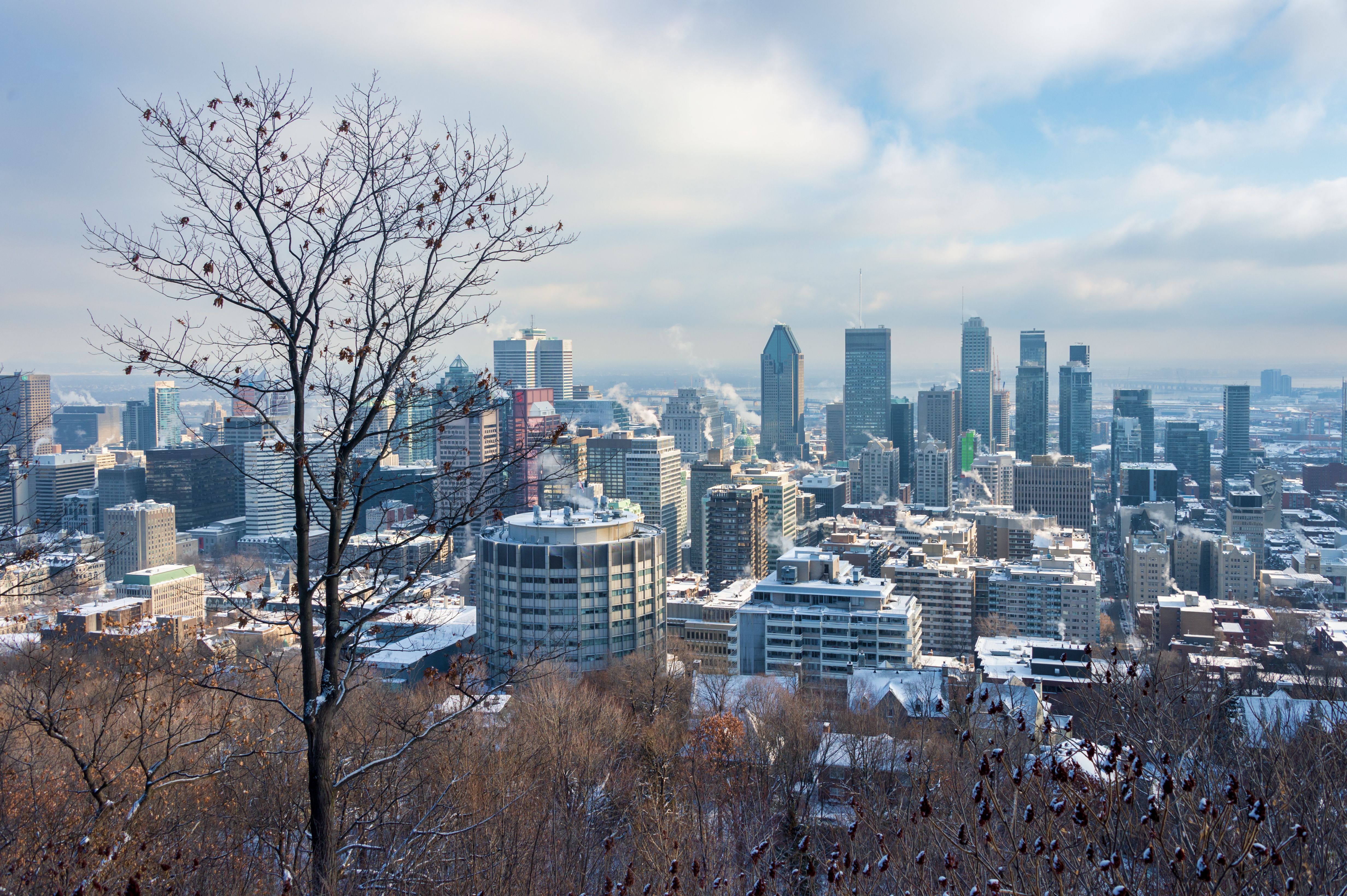 Voici les emplois qui seront le plus en demande au Canada en 2021