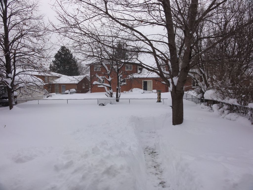 Ontario's Weather Forecast Will See 15 cm Of Snow On Friday