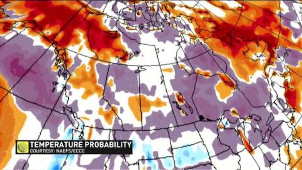 Here's When It Could Actually Start To Feel Like Summer In Toronto