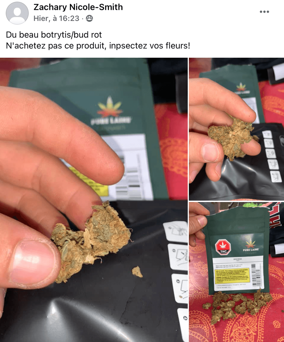 Il affirme qu'il a achet\u00e9 du cannabis moisi \u00e0 la SQDC