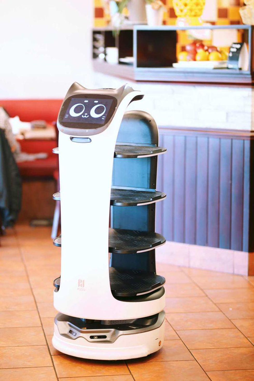 This Restaurant Near Ottawa Has A Robot Cat That Serves Food \u200b& Sings 'Happy Birthday'