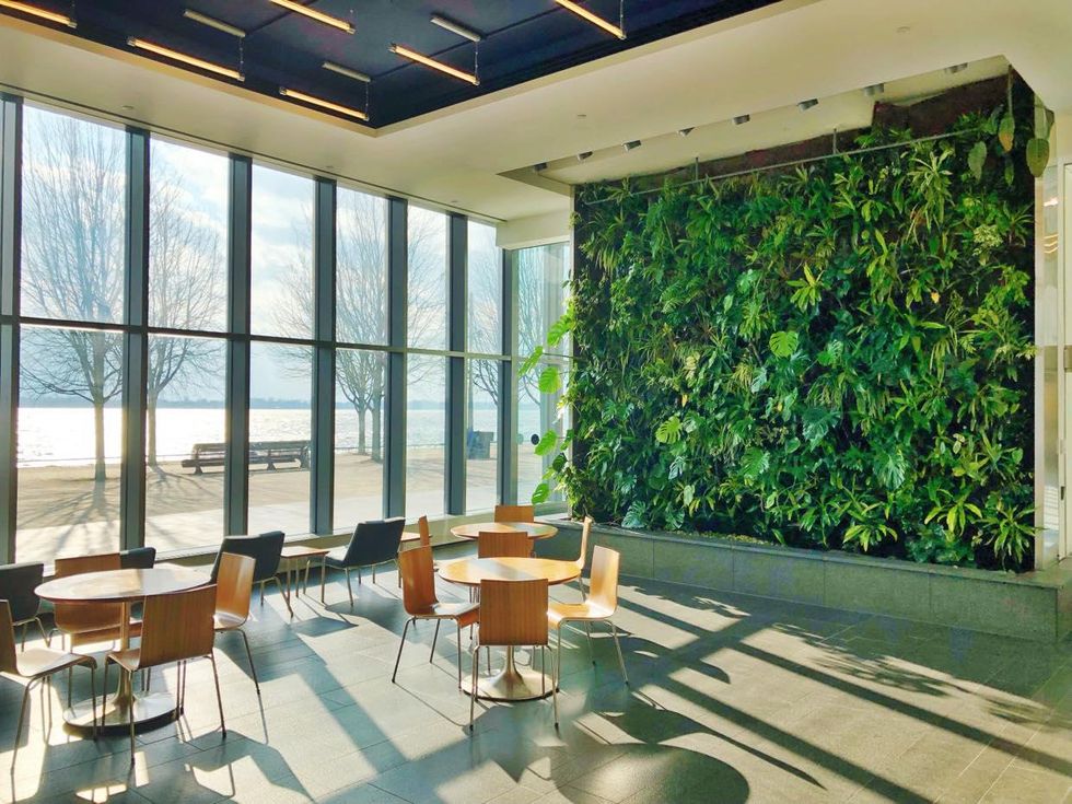 A room with tables and chairs, a wall covered in plants and another with wall-to-ceiling windows.