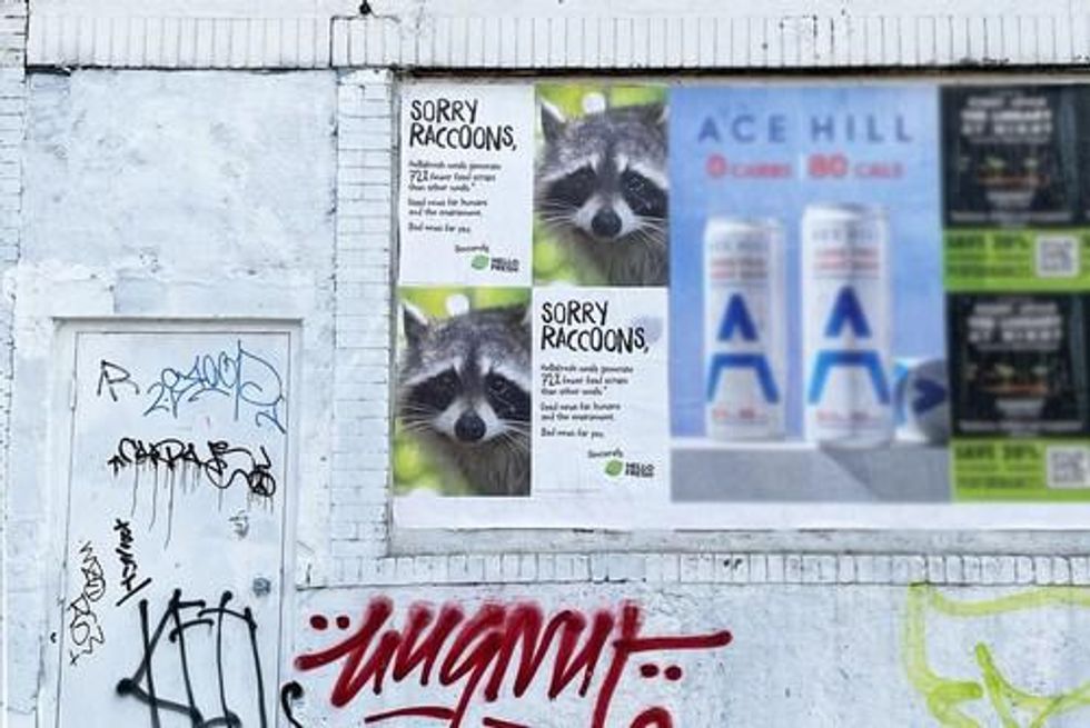 Racoon posters from HelloFresh.