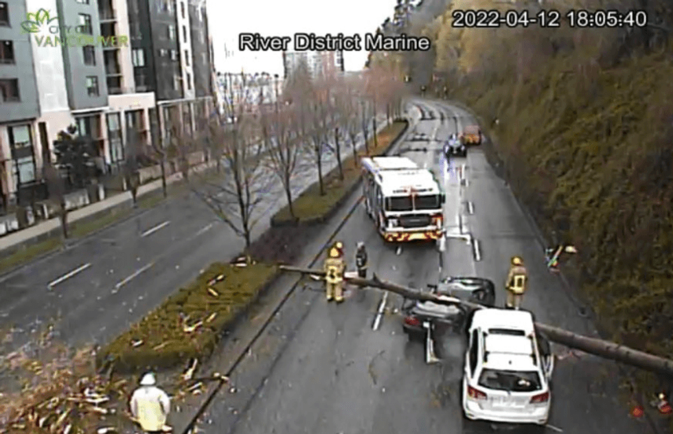 Car crushed by a tree with emergency responders at the scene.
