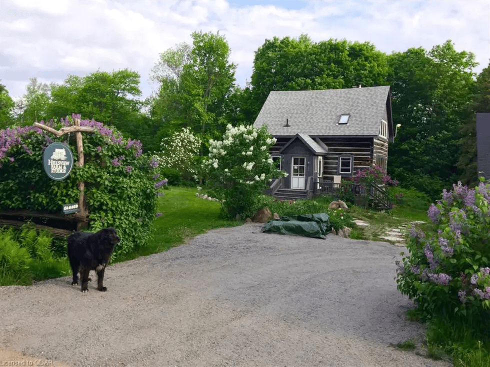 Gardens surrounding the home.