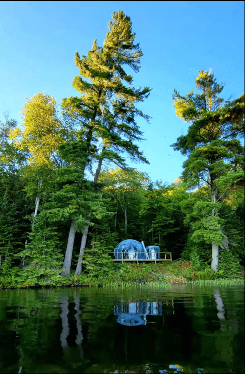 Bubble tent on the lake surrounded by trees.