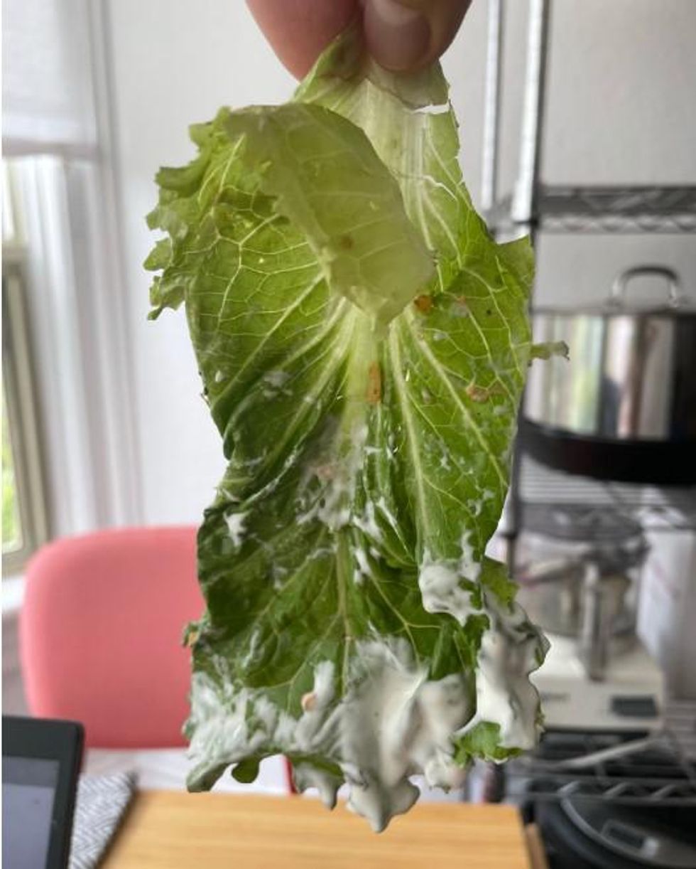 The single piece of lettuce.