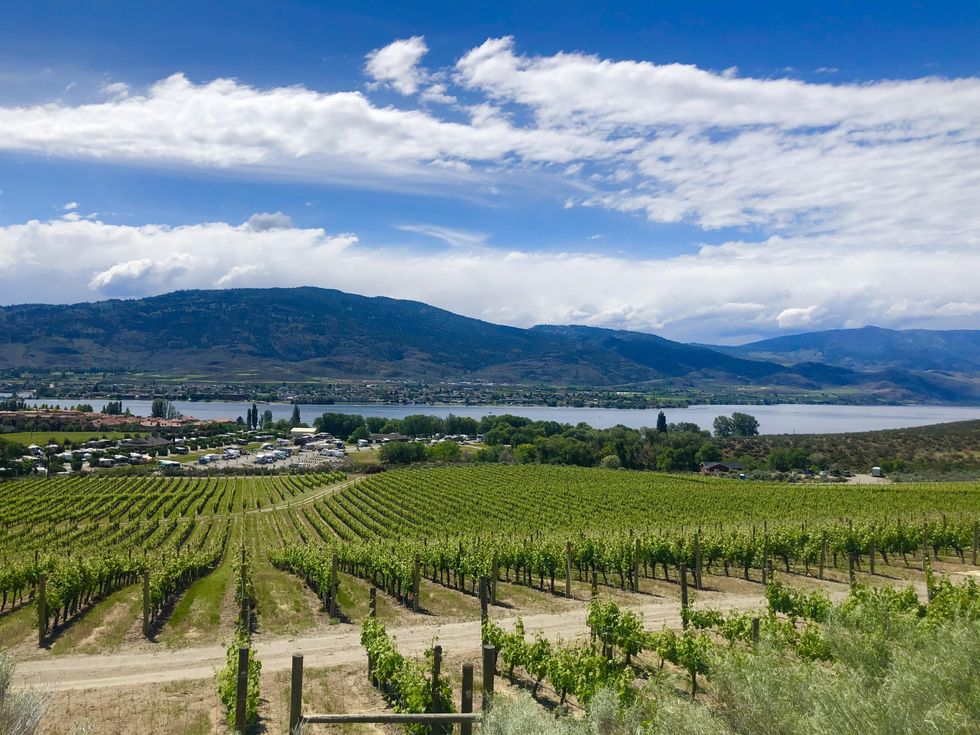 NK'MIP Cellars.