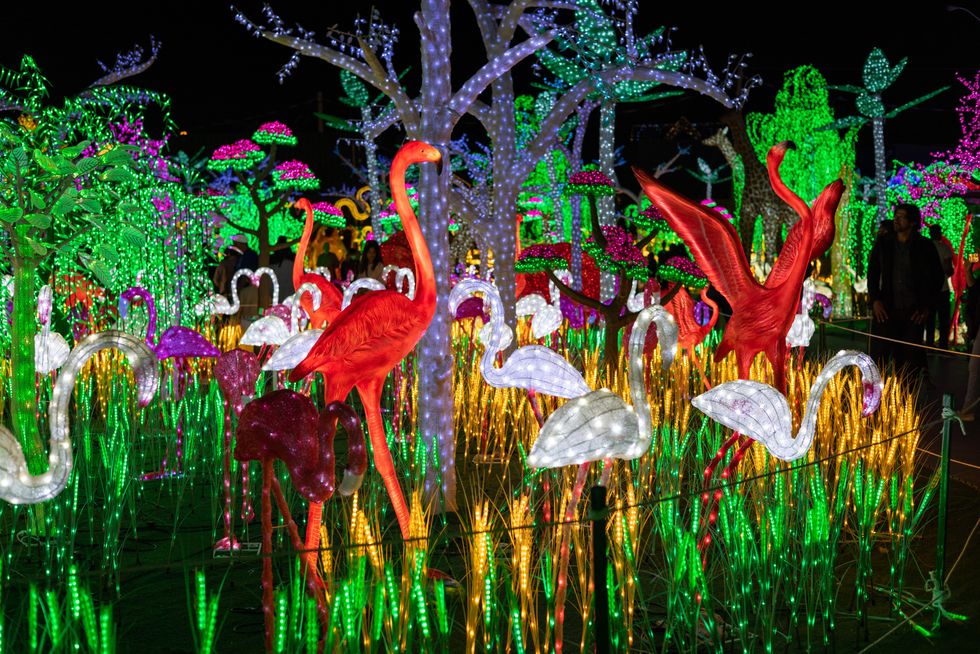 Flamingo light installations at Illumi.