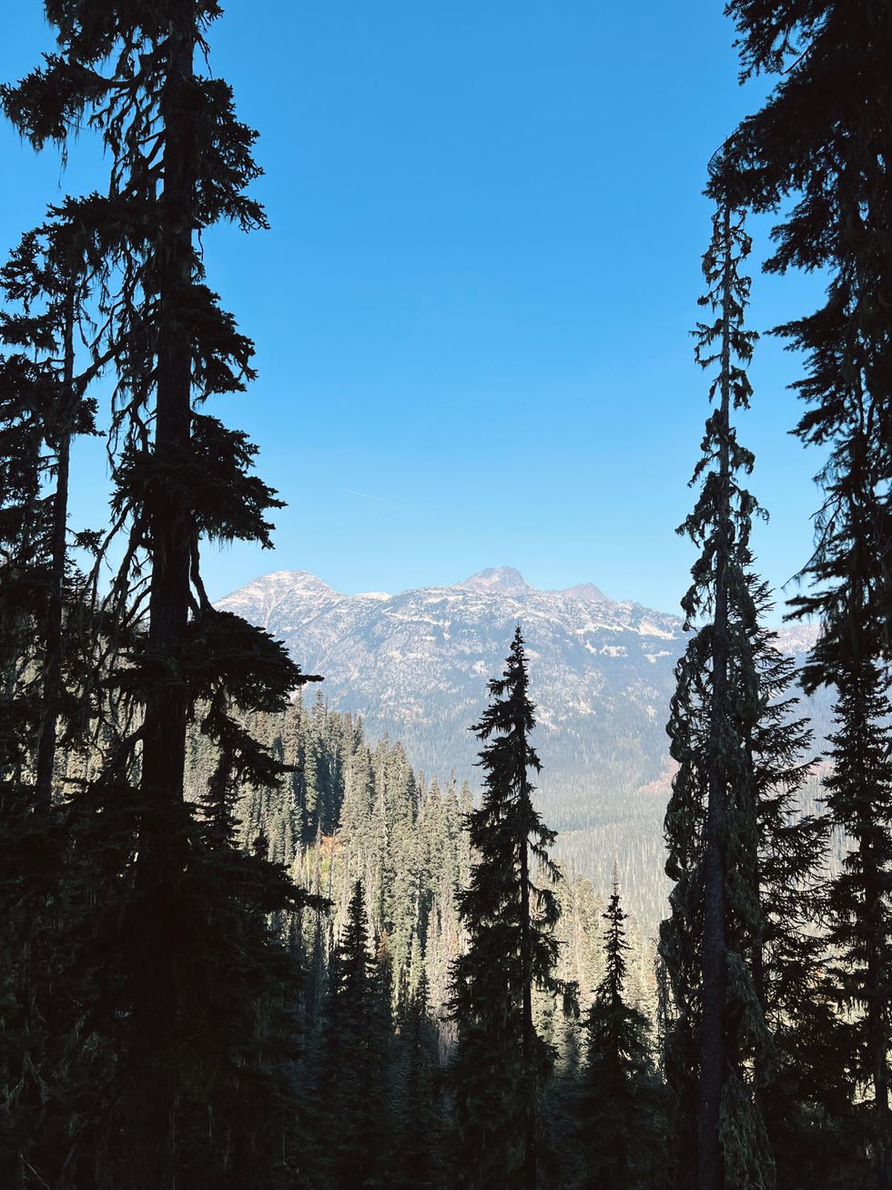 View from Joffre Lakes Trail.