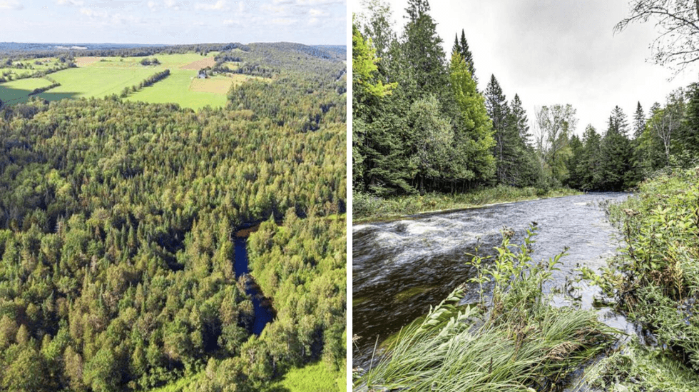 Terrain de 7.6 acres. Droite : Ruisseau.