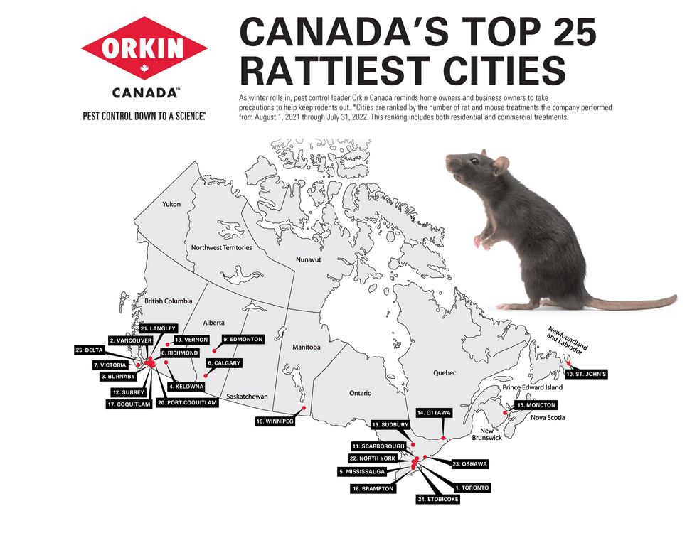 Orkin Canada's annual national rattiest cities list.
