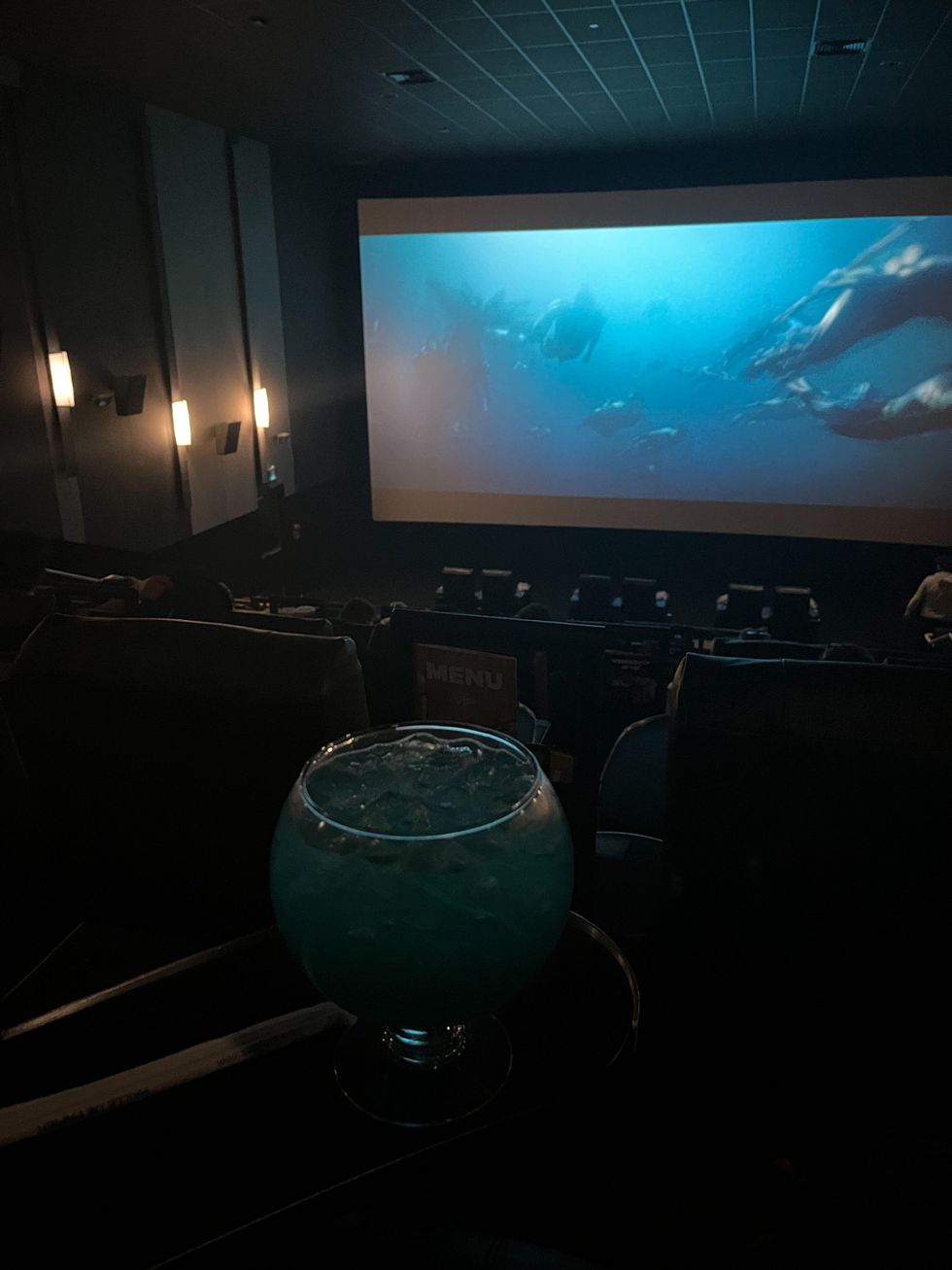 VIP Cinema Cineplex.