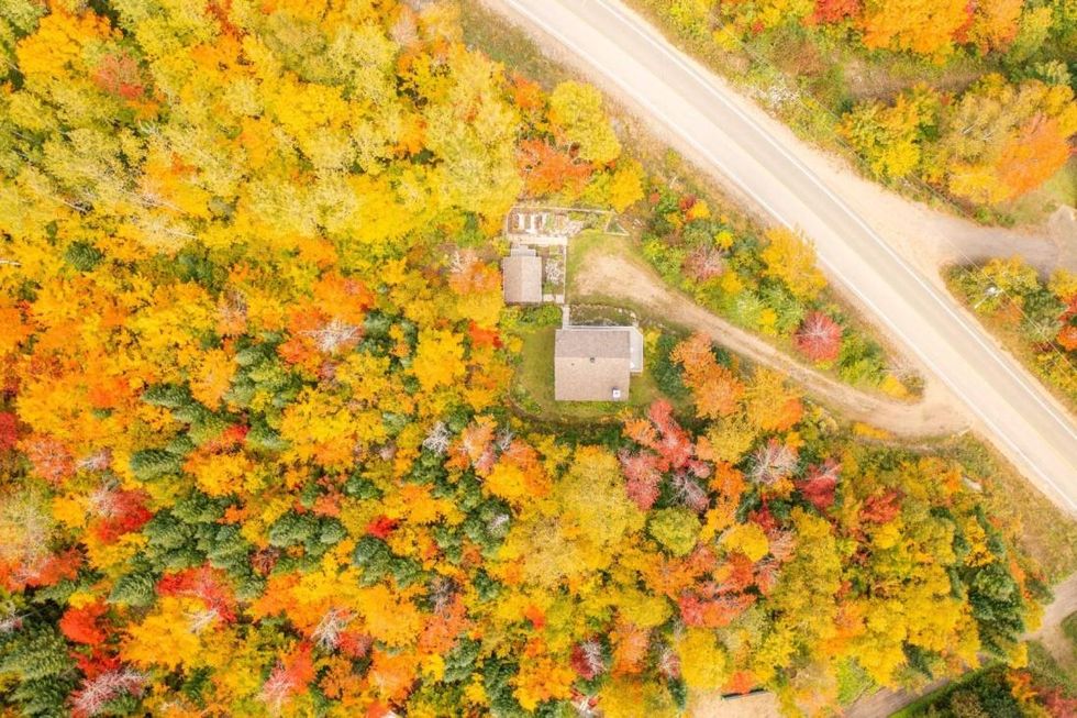 The home as seen from above surrounded by trees.