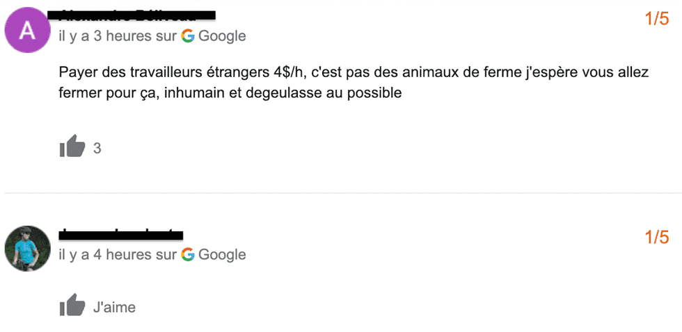 Avis Google.