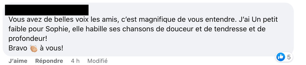 Commentaires sur Facebook.