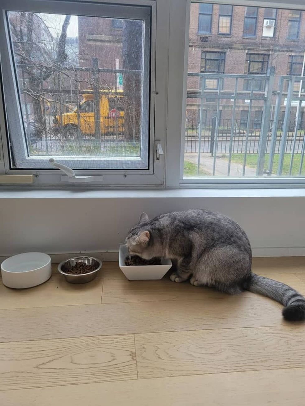 Wila eating her food.