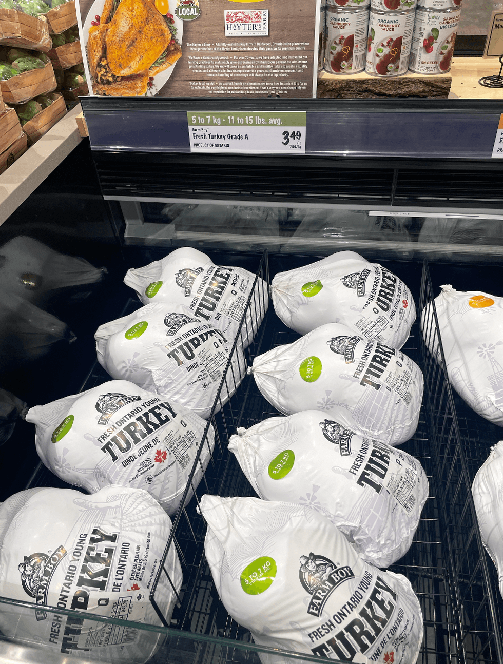 Farm Boy Turkey
