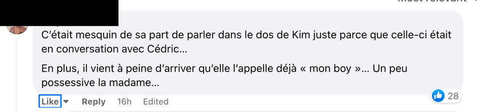 Commentaire sur Facebook.