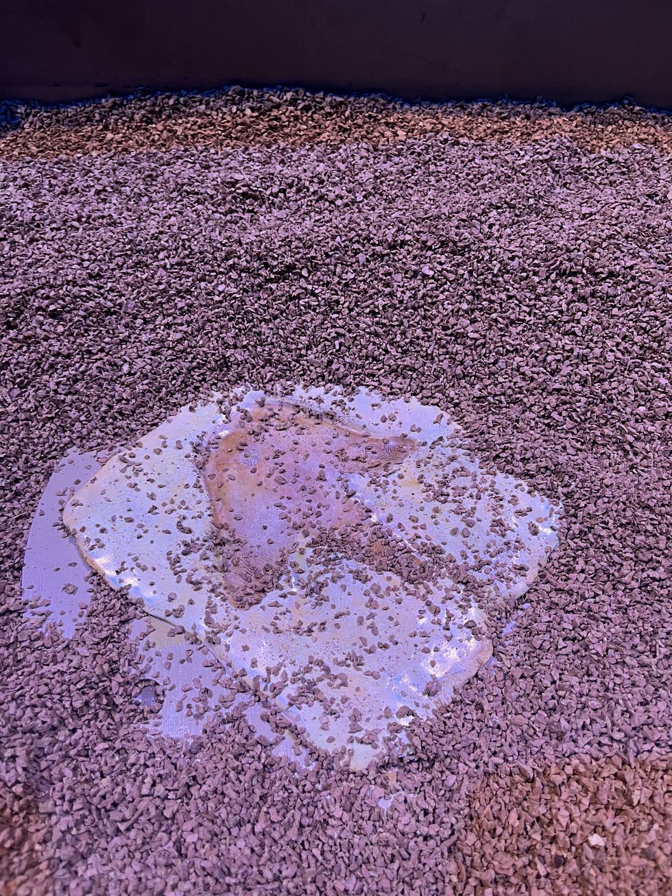 Fossil dig station